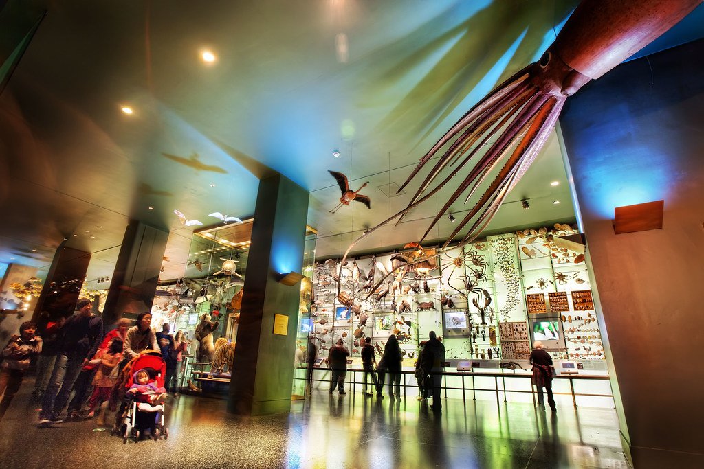 interactive museum display