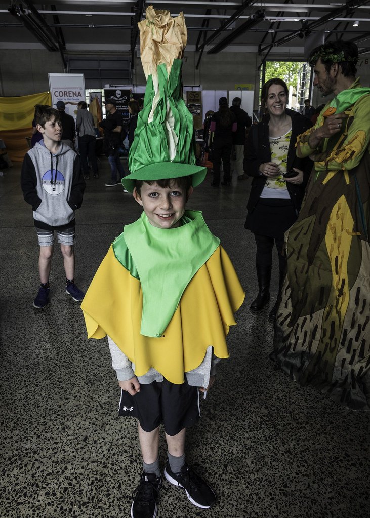 sustainable festival